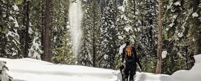 Travel Tahoe : Lake Tahoe Activates : Craft Your Tahoe Escape - Snowshoe Private Tour