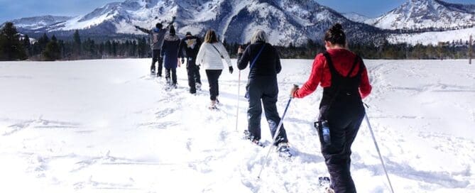 Travel Tahoe : Lake Tahoe Activates : Craft Your Tahoe Escape - Snowshoe Tour