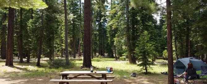 Sugar Pine Point State Park Campground Lake Tahoe