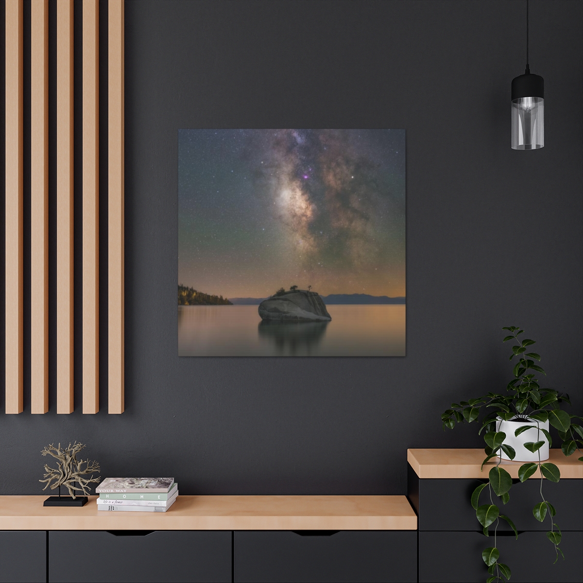 Lake Tahoe Bonsai Rock Canvas Print - Image 193