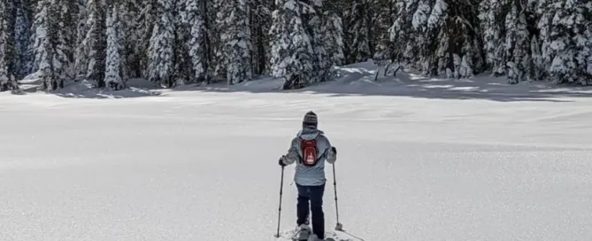 Lake Tahoe Snowshoe Tour Hike